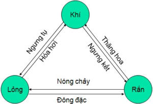 dạy kèm tphcm